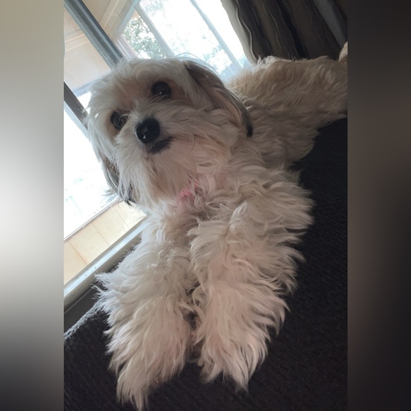 My greatest Blessing is my Family - Picture 11 of 13